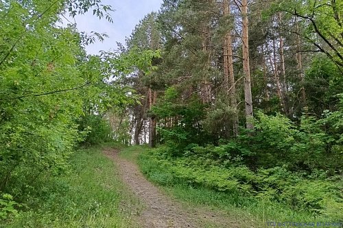 Велопрогулки как форма молодёжного общения: председатель епархиального отдела по работе с молодёжью организует совместный досуг прихожан
